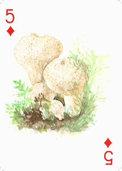 Spielkarte
