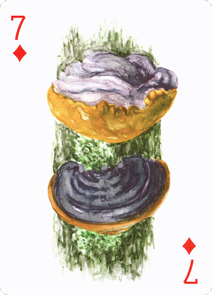 Spielkarte