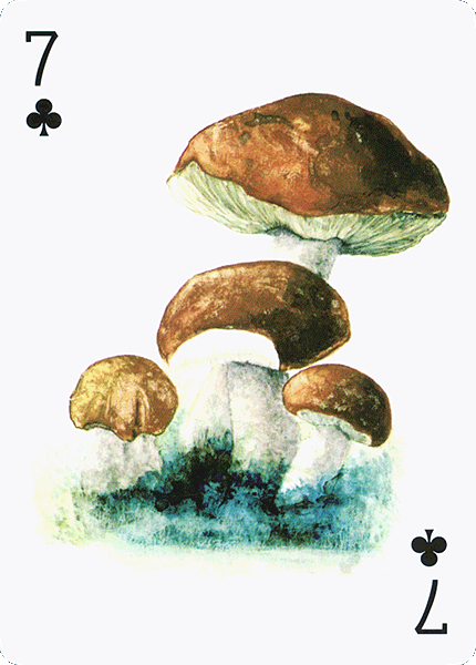 Spielkarte