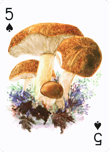 Spielkarte