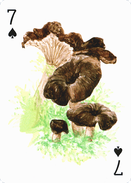 Spielkarte