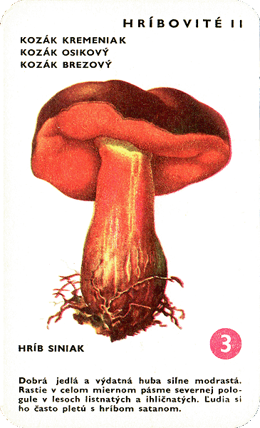 Spielkarte
