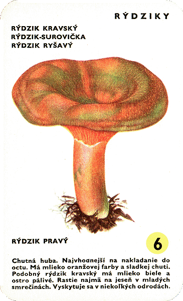 Spielkarte
