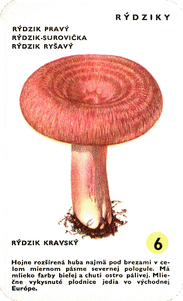Spielkarte