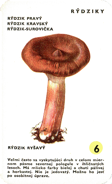 Spielkarte