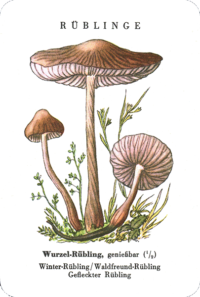 Spielkarte