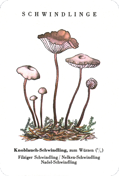 Spielkarte