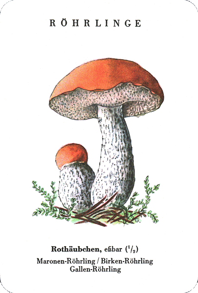 Spielkarte