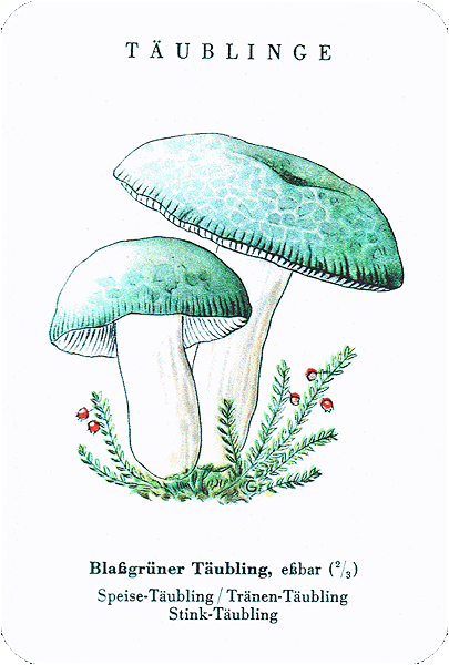 Spielkarte