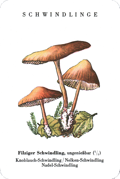 Spielkarte