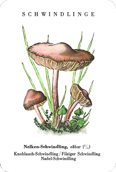Spielkarte