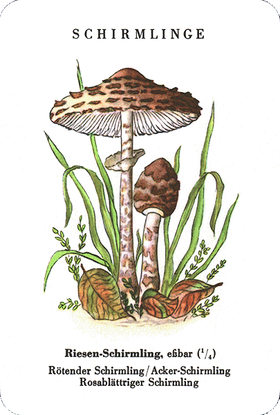Spielkarte