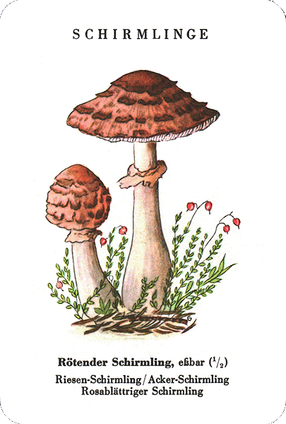 Spielkarte