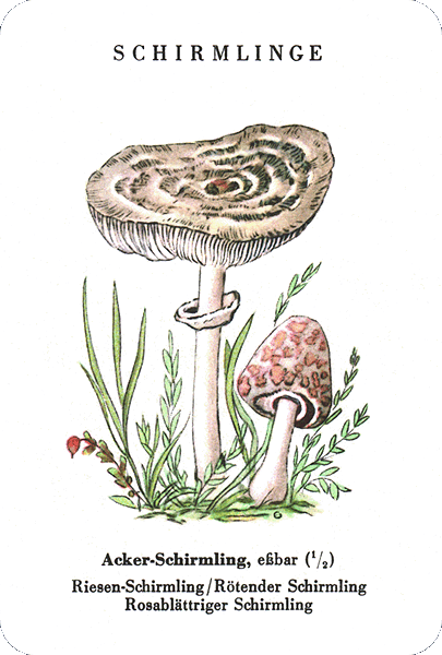 Spielkarte