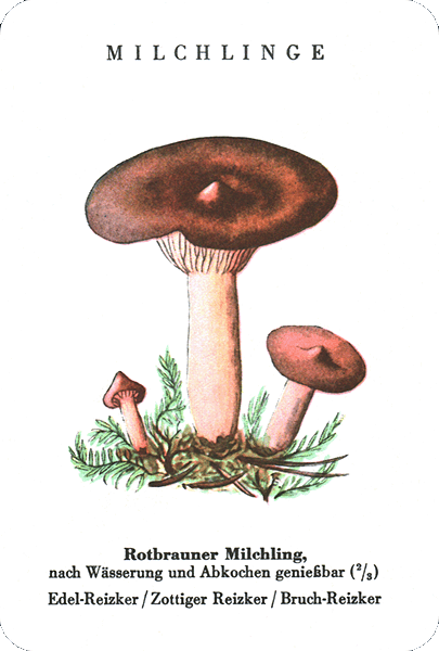 Spielkarte