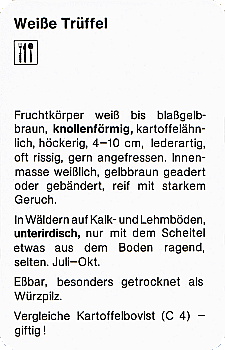 Spielkarte
