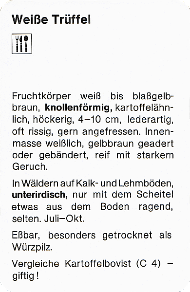 Spielkarte