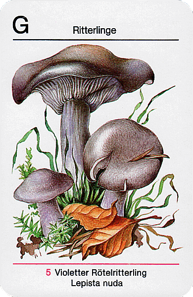 Spielkarte