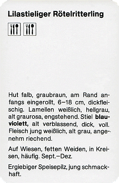 Spielkarte