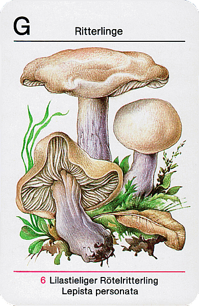 Spielkarte