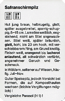 Spielkarte