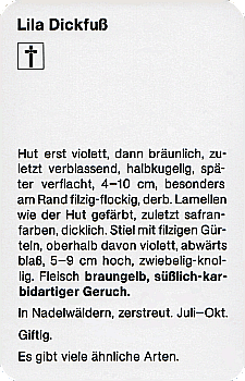 Spielkarte