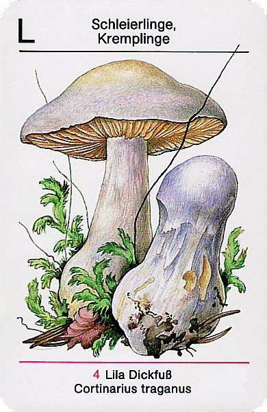 Spielkarte