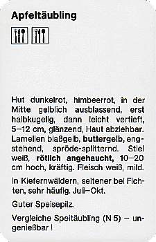 Spielkarte