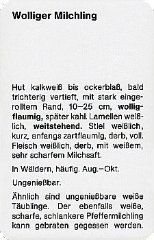 Spielkarte