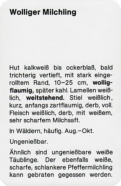 Spielkarte