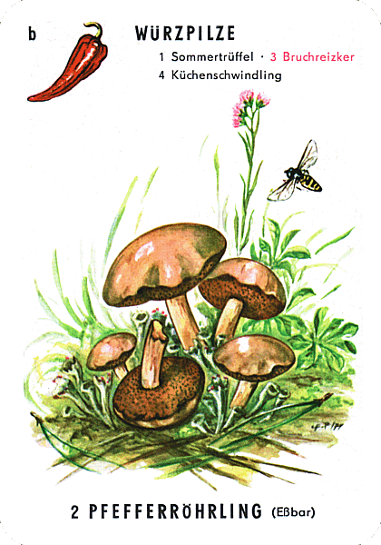 Spielkarte