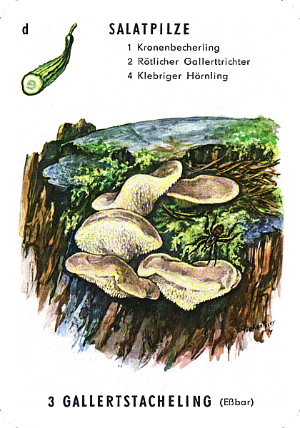 Spielkarte