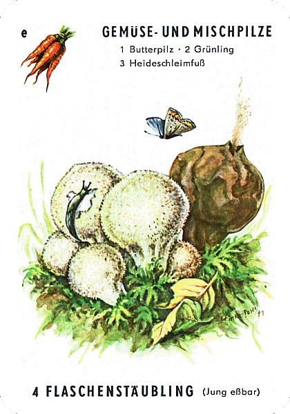 Spielkarte