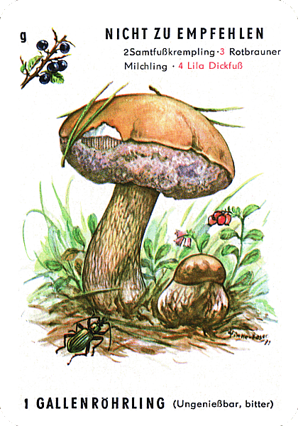 Spielkarte