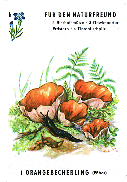 Spielkarte