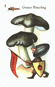 Spielkarte
