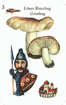 Spielkarte