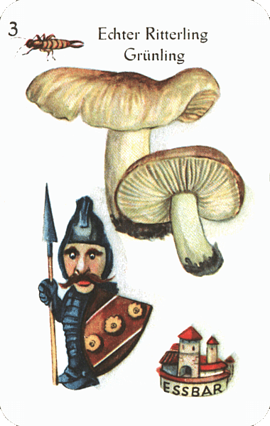 Spielkarte