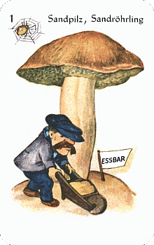 Spielkarte