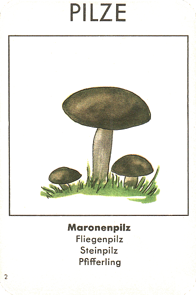 Spielkarte