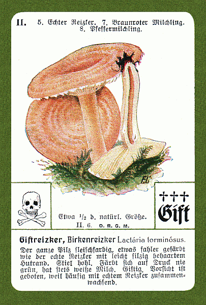 Spielkarte
