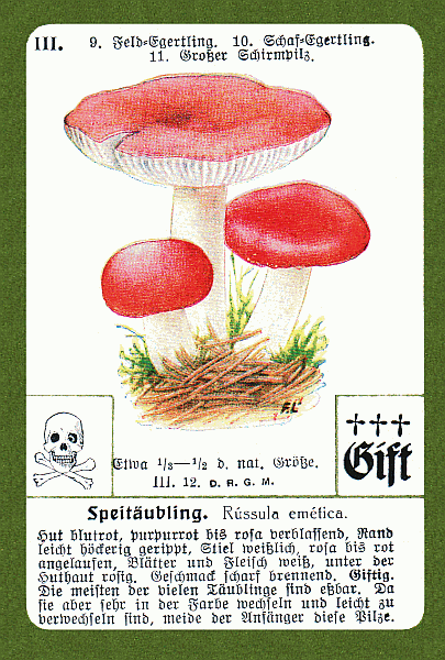 Spielkarte