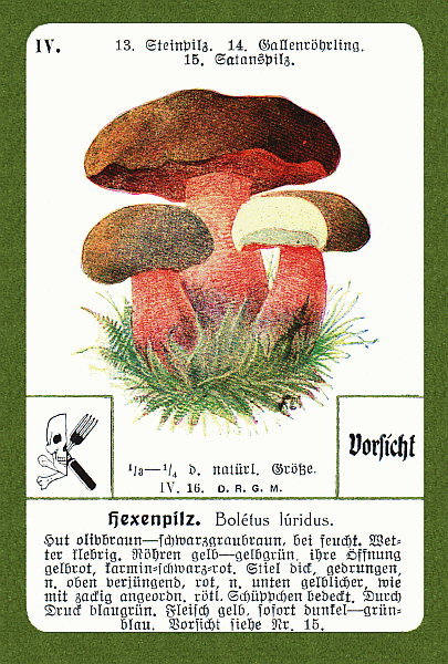 Spielkarte