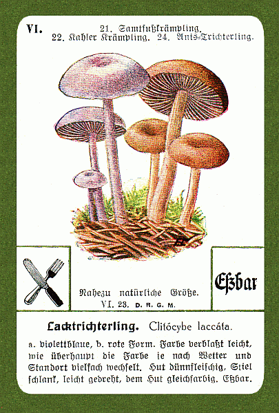 Spielkarte