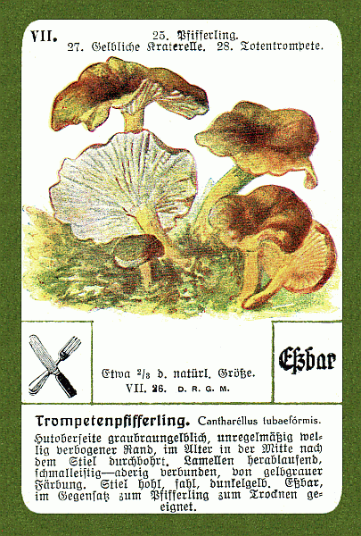Spielkarte