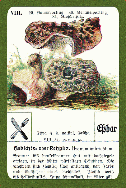 Spielkarte