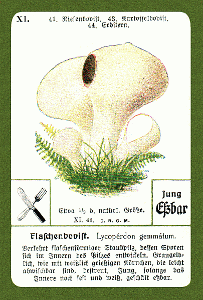 Spielkarte