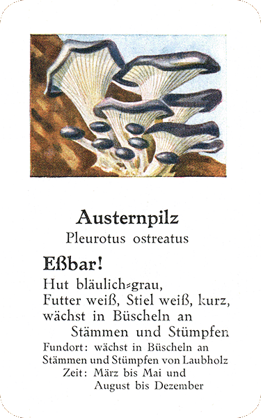 Spielkarte