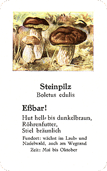 Spielkarte