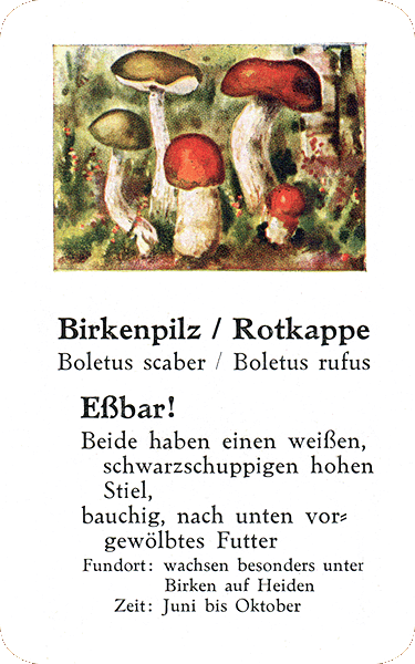 Spielkarte